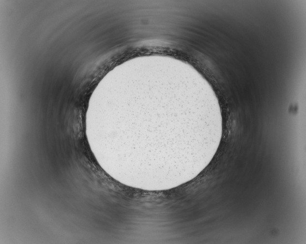 X0000114221062200911201040