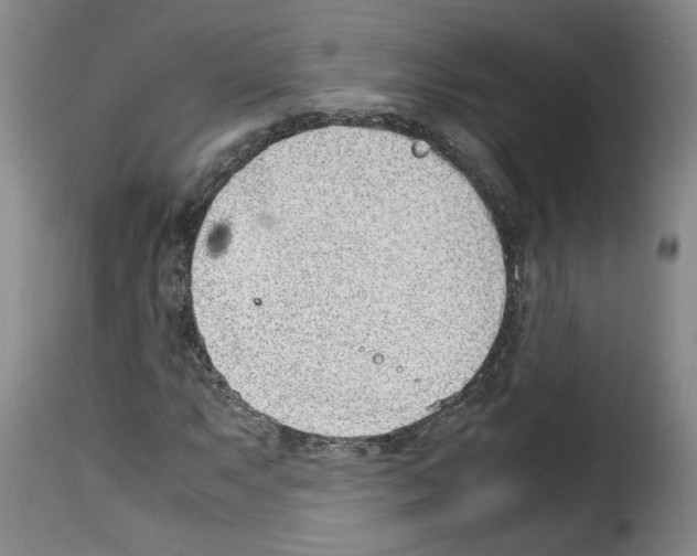 X0000114221063200911201040