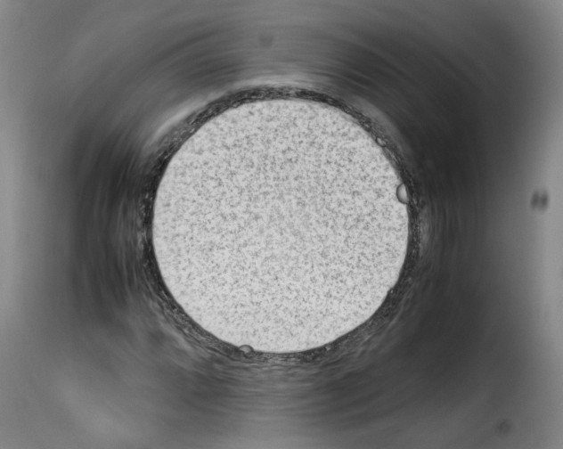 X0000114221064200911201040