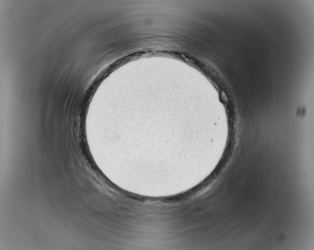 X0000114221065200911201040
