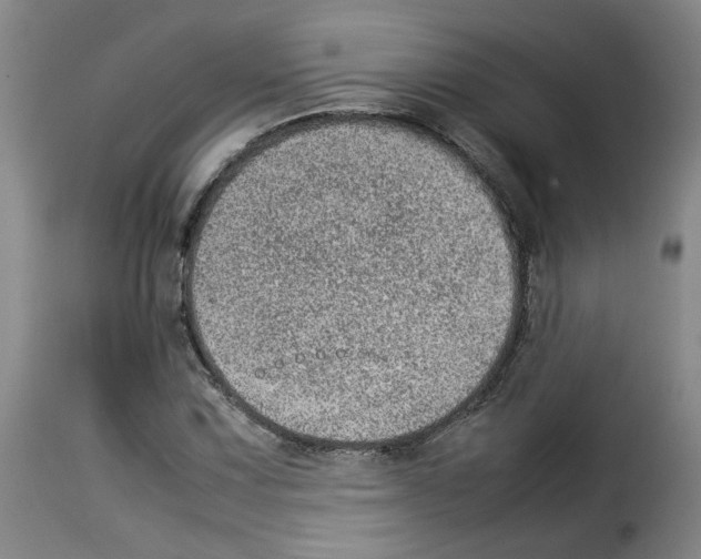 X0000114221067200911201040
