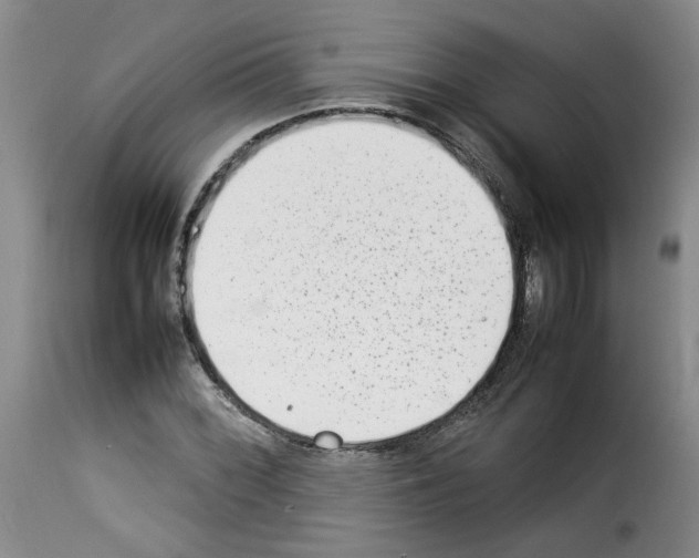 X0000114221068200911201040