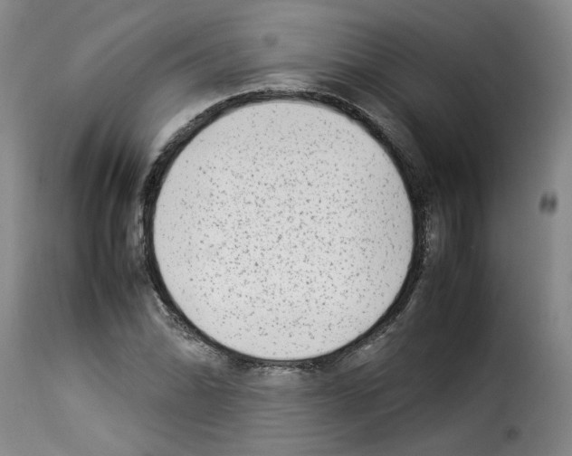 X0000114221070200911201040