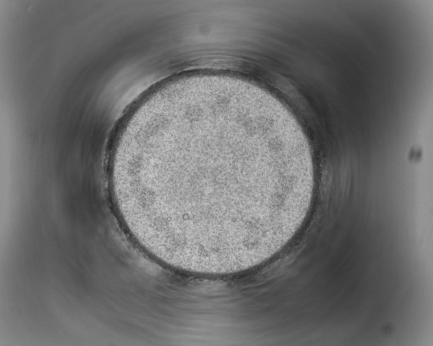 X0000114221071200911201040