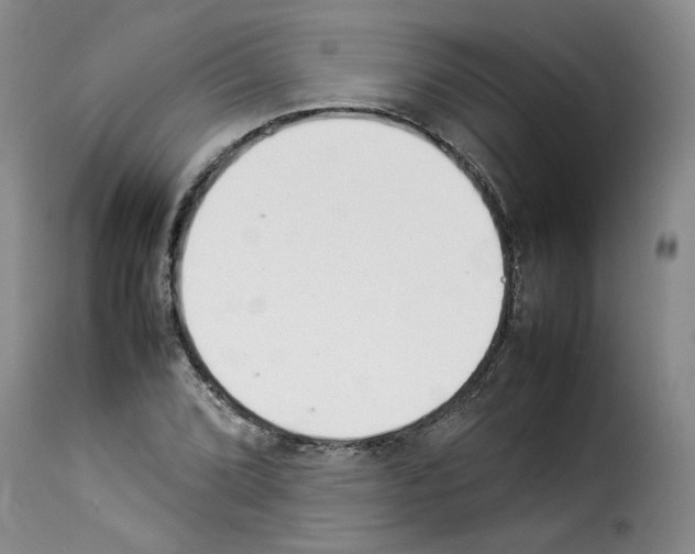 X0000114221072200911201040