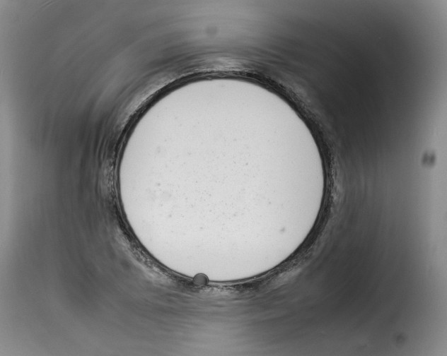 X0000114221073200911201040