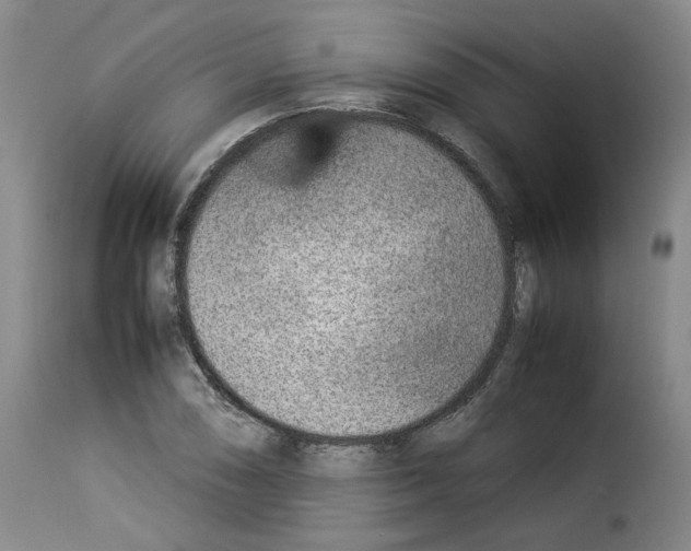 X0000114221074200911201040