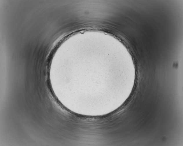 X0000114221075200911201040