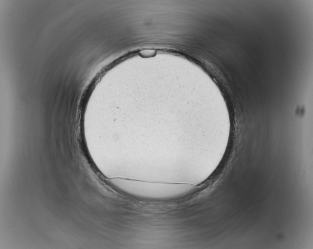X0000114221077200911201040