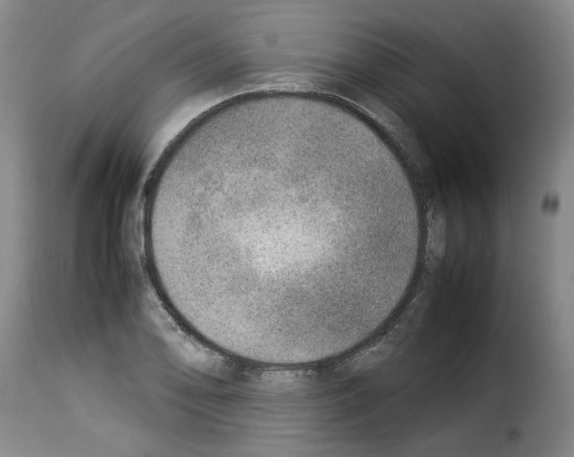 X0000114221078200911201040