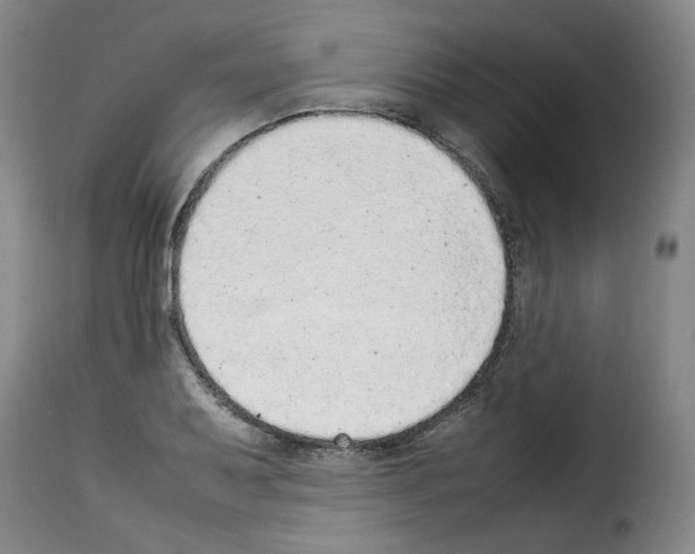 X0000114221079200911201040