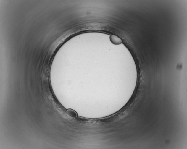 X0000114221081200911201040