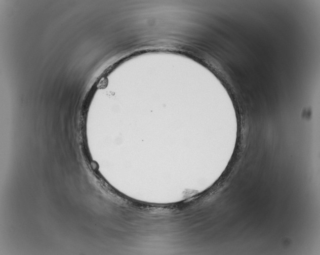 X0000114221085200911201040