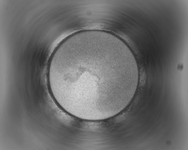 X0000114221086200911201040