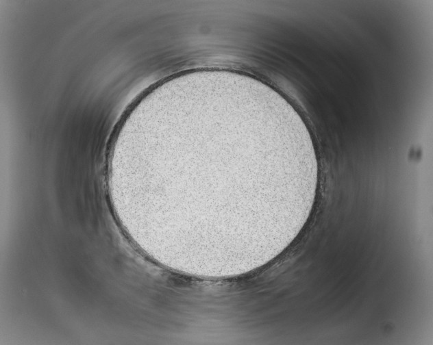 X0000114221087200911201040