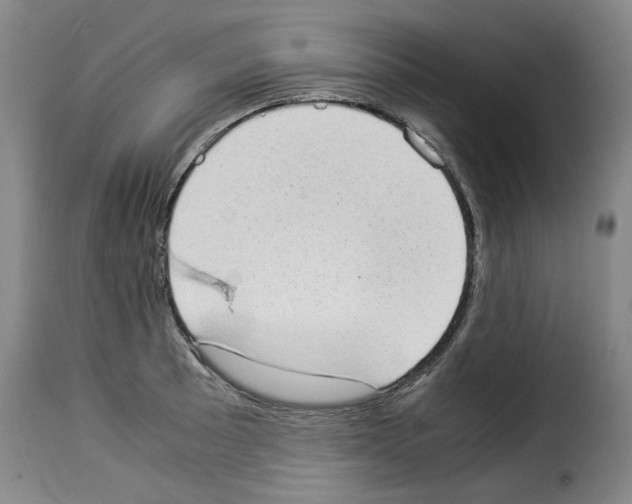 X0000114221089200911201040