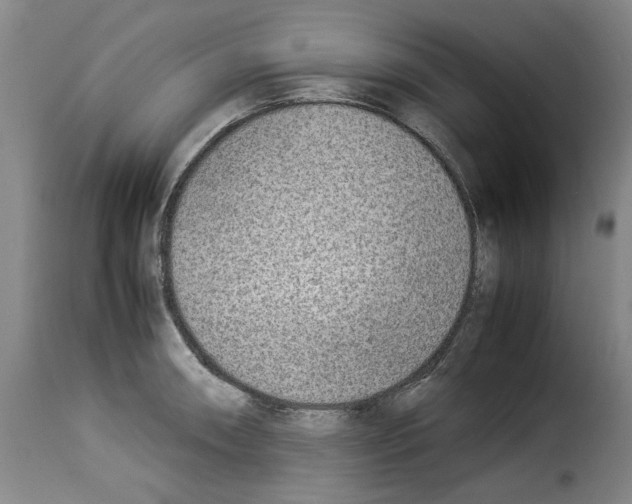 X0000114221090200911201040