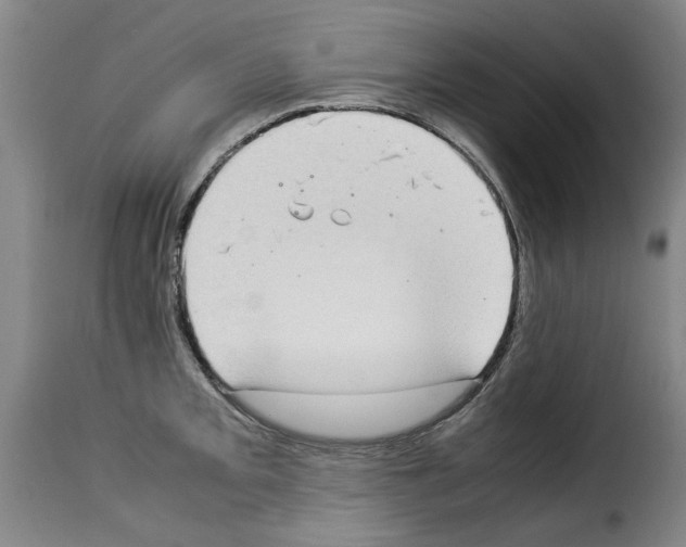 X0000114221093200911201040