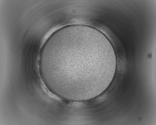 X0000114221094200911201040