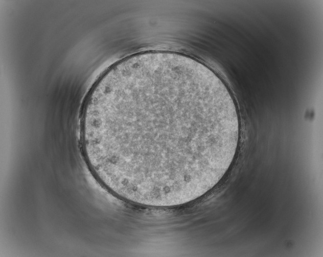 X0000114221095200911201040
