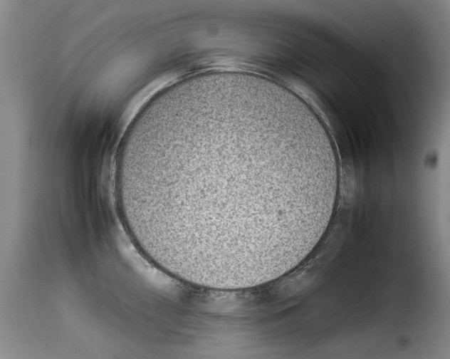 X0000114221098200911201040