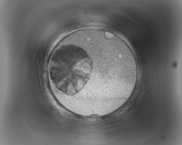X0000114221099200911201040
