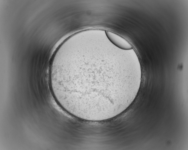 X0000114221100200911201040