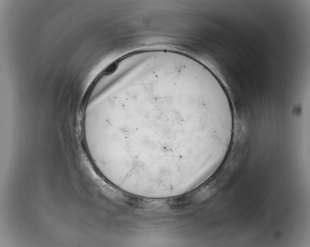 X0000114221101200911201040