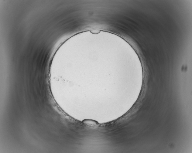 X0000114221104200911201040
