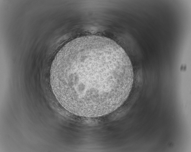 X0000114221105200911201039