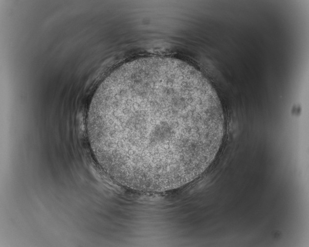 X0000114221106200911201039