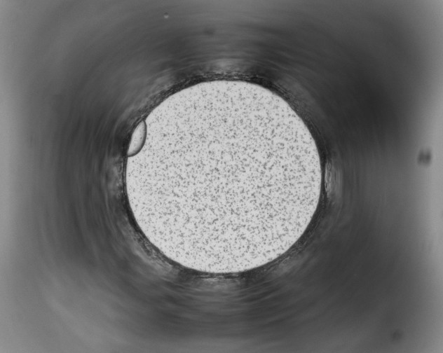 X0000114221107200911201039