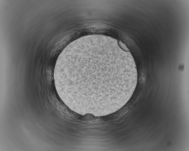 X0000114221108200911201039