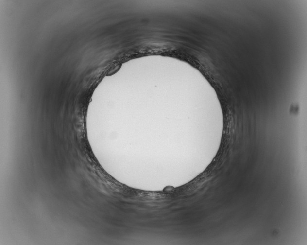 X0000114221109200911201039