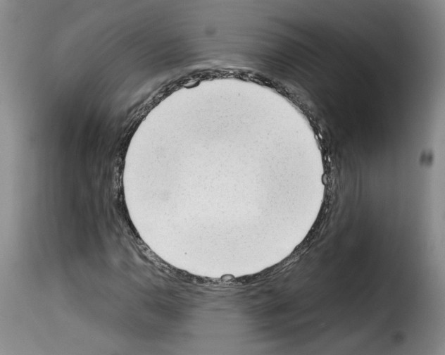 X0000114221110200911201039