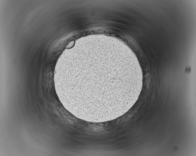 X0000114221111200911201039