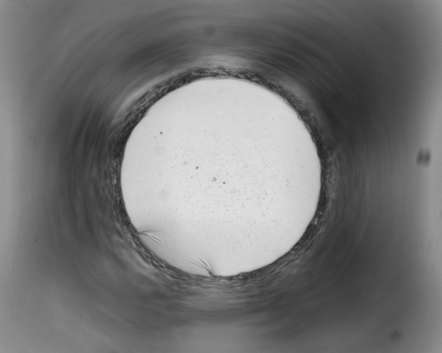 X0000114221112200911201039