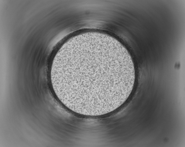 X0000114221114200911201039