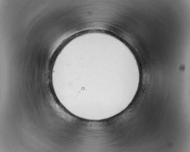 X0000114221116200911201039