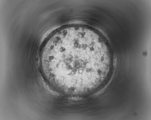 X0000114221117200911201039