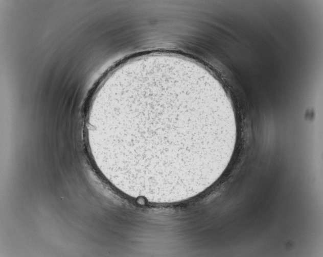 X0000114221118200911201039