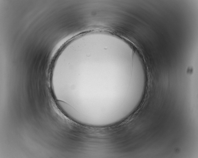 X0000114221120200911201039