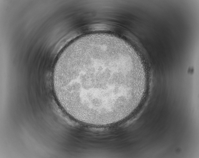 X0000114221121200911201039