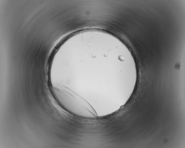 X0000114221124200911201039