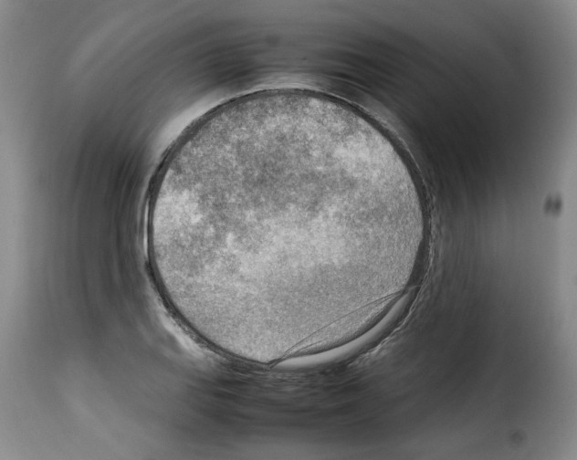 X0000114221127200911201039