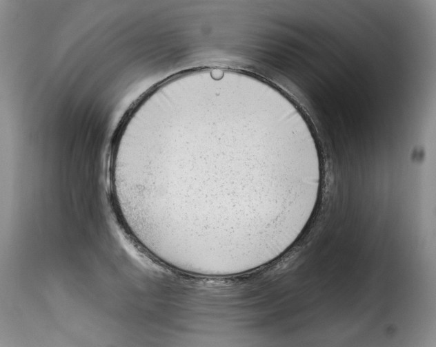 X0000114221128200911201039