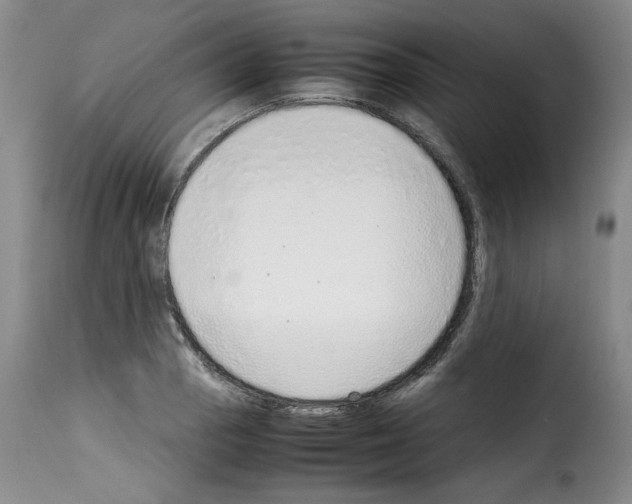 X0000114221129200911201039