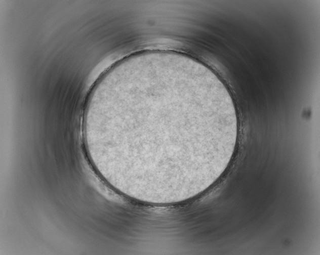 X0000114221130200911201039