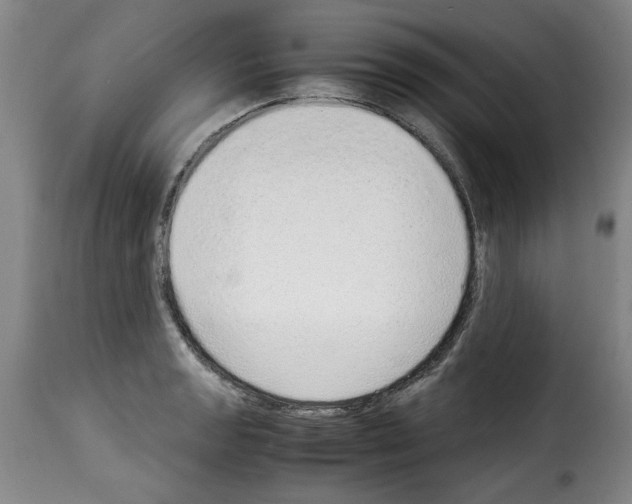 X0000114221133200911201039