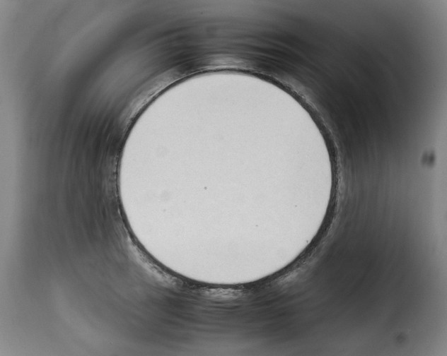 X0000114221137200911201039